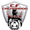 CFCachorrosUSA