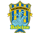 FC Baleine Shimonoseki